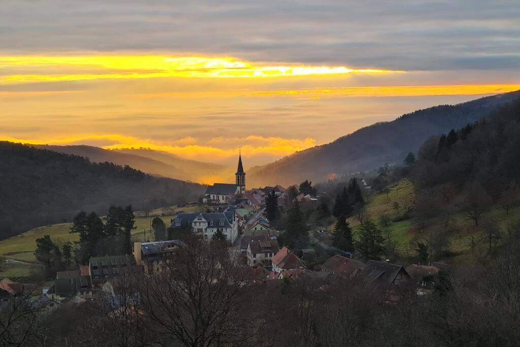 Gite Belle Vue Танненкирш Экстерьер фото