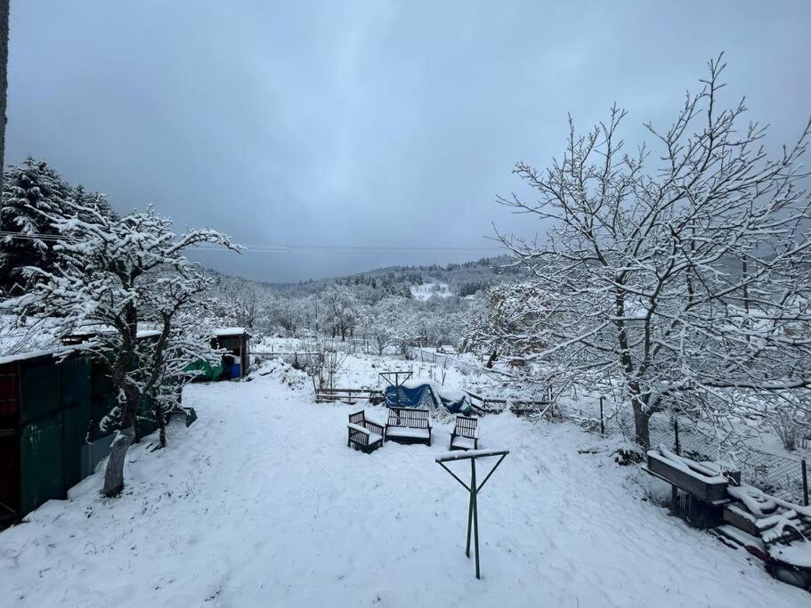 Gite Belle Vue Танненкирш Экстерьер фото